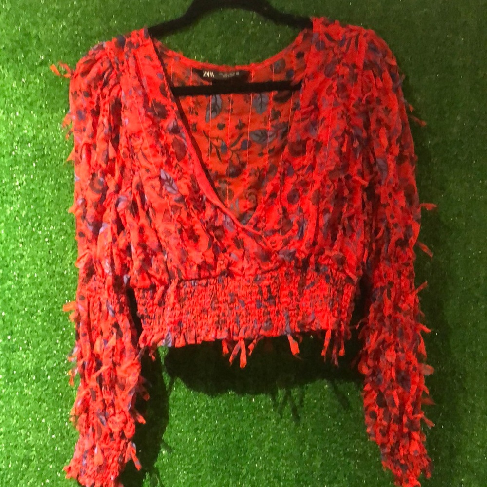 Zara woman’s v neck shear cropped blouse with detailed bows